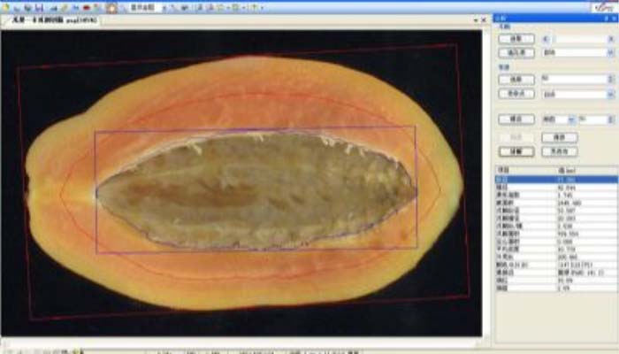 LA-S瓜果剖切麵、瓤色圖像分析儀係統